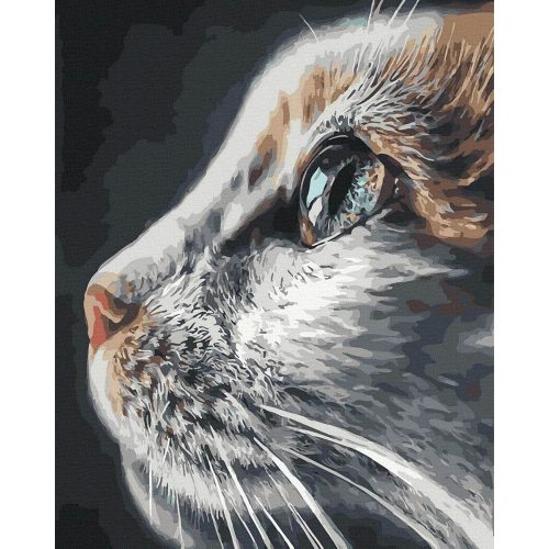 Igéző szemek - Számos kifestő keret nélkül (40x50 cm)