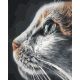 Igéző szemek - Számos kifestő keret nélkül (40x50 cm)
