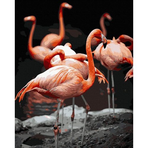 Flamingók - Számos kifestő keretre feszítve