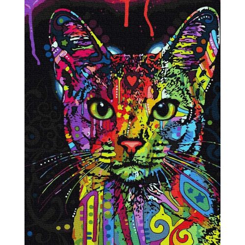 Macska - Számos kifestő keretre feszítve (50x65 cm)