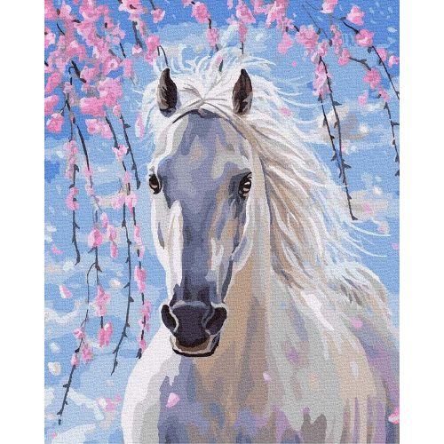 Fehérebb, mint a hó - Számos kifestő keretre feszítve (50x65 cm)