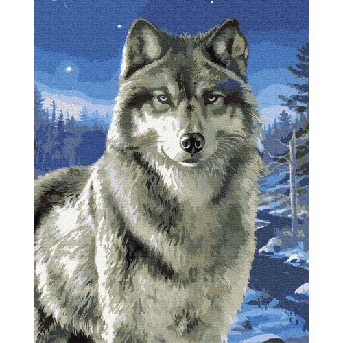 Vezér - Számos kifestő keretre feszítve (50x65 cm)