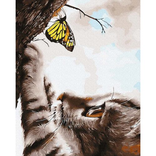 Cica és pillangó - Számfestő keretre feszítve (50x65 cm)