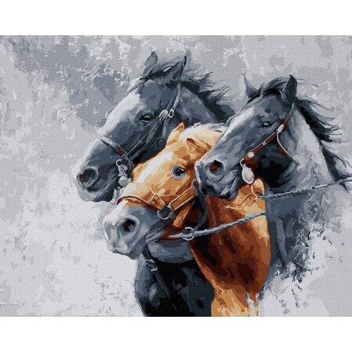 Trojka - Számos kifestő keretre feszítve (50x65 cm)