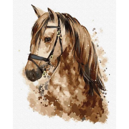 Gyönyörű ló - Számos kifestő keretre feszítve (50x65 cm)