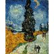 Van Gogh - Út a ciprusokkal és a csillaggal - számfestő készlet, keretre feszítve ( 50x65 cm )