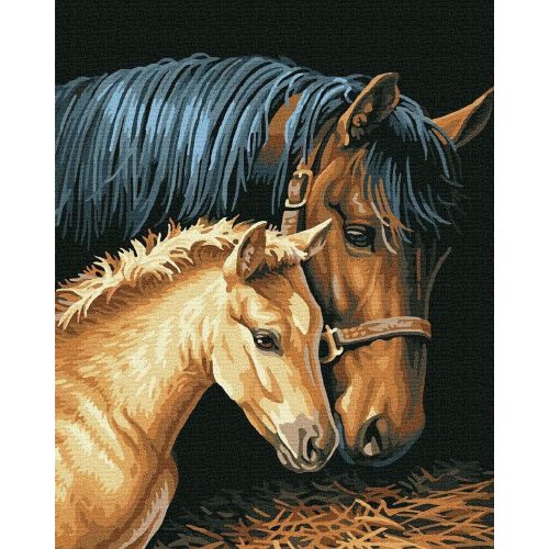 Anyai szeretet - Számos kifestő keretre feszítve (50x65 cm)