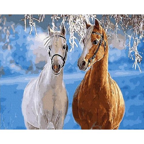 Örökké együtt - Számos kifestő keretre feszítve (50x65 cm)