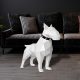 Bullterrier, fehér - 3D papírmodell