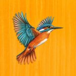 Tüzes jégmadár (Papír dobozos)