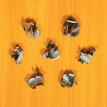 Rejtélyes farkas (Fa dobozos)