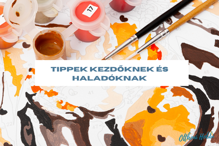 Tippek kezdőknek és haladóknak a legjobb készletek kiválasztásához