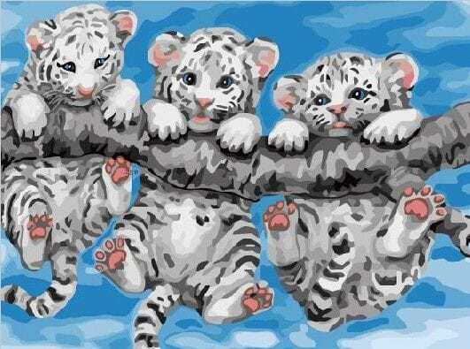 Három tigris egy ágon - Számos kifestő keretre feszítve (30x40 cm)