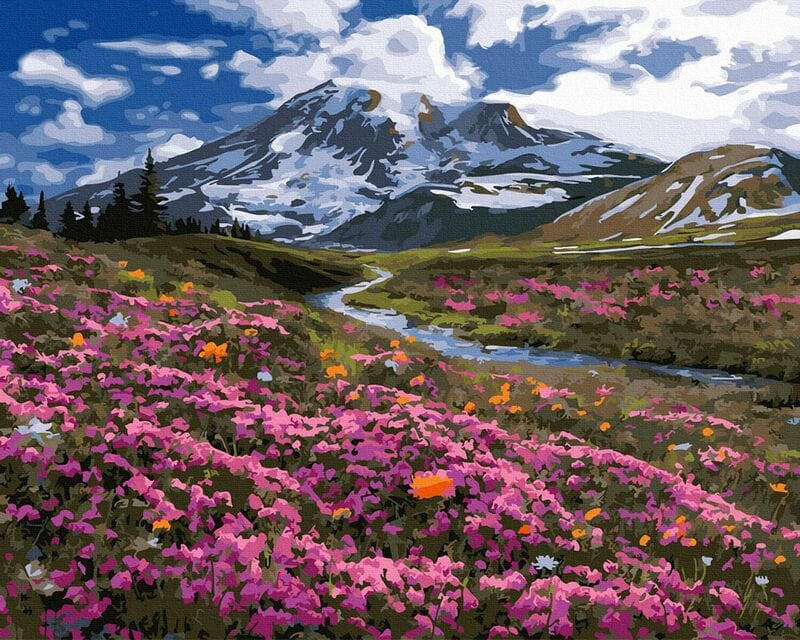 Virágzó hegy - Számos kifestő keretre feszítve