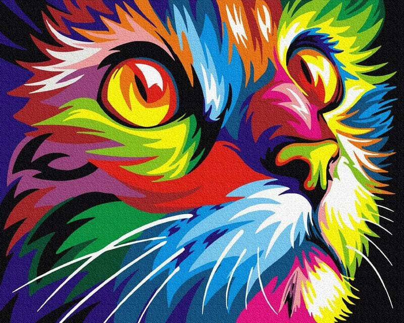 Szivárványos macska - Számos kifestő keretre feszítve (40x50 cm)