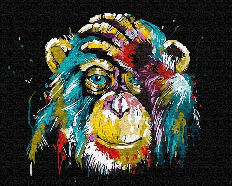 Színes csimpánz - Számos kifestő keretre feszítve (40x50 cm)
