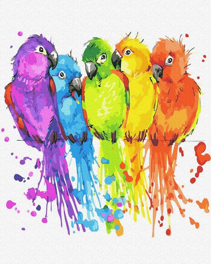 Színes papagájok - Számos kifestő keretre feszítve (40x50 cm)