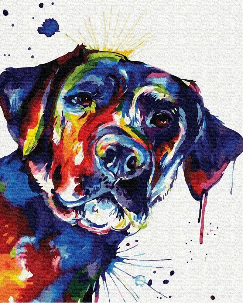 Színes kutya - Számos kifestő keretre feszítve (40x50 cm)